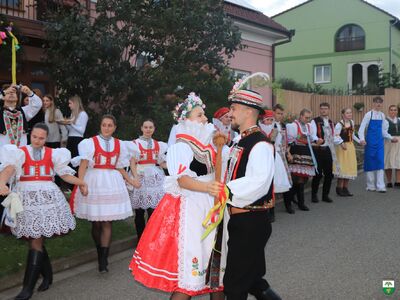 IMG_1911