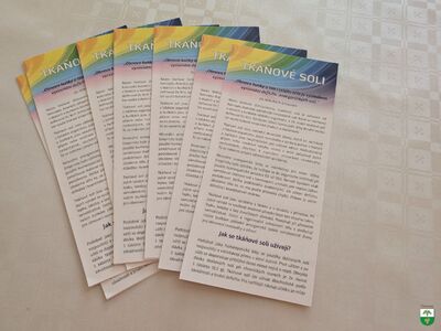 PXL_20260306_160402824