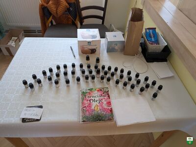 PXL_20260306_160425239