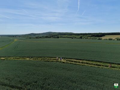 DJI_20260529142810_0003_D