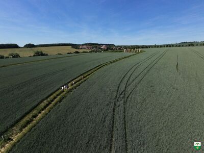 DJI_20260529142840_0006_D